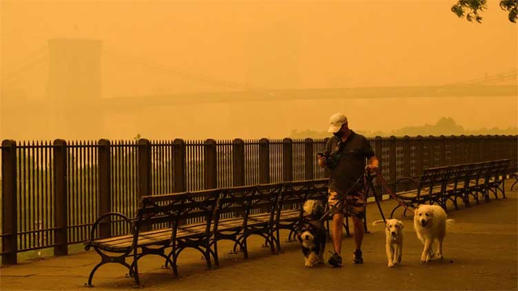 Can you exercise outside in wildfire smoke? How to tell if the air is safe