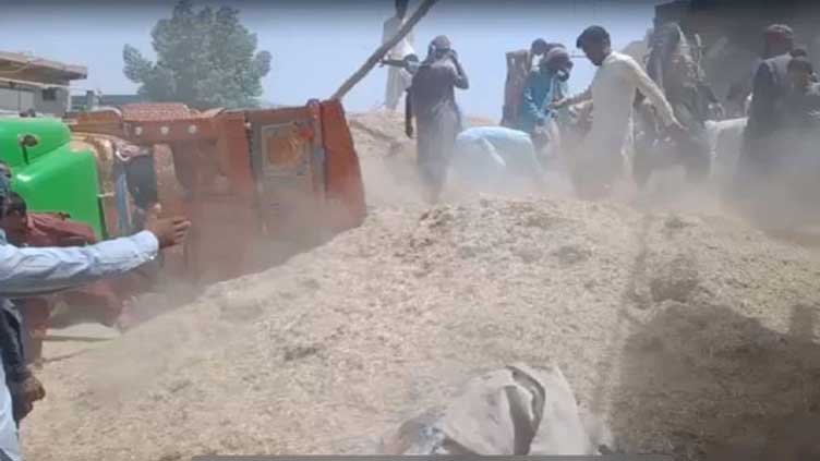 Six of a family killed in Kandhkot accident 